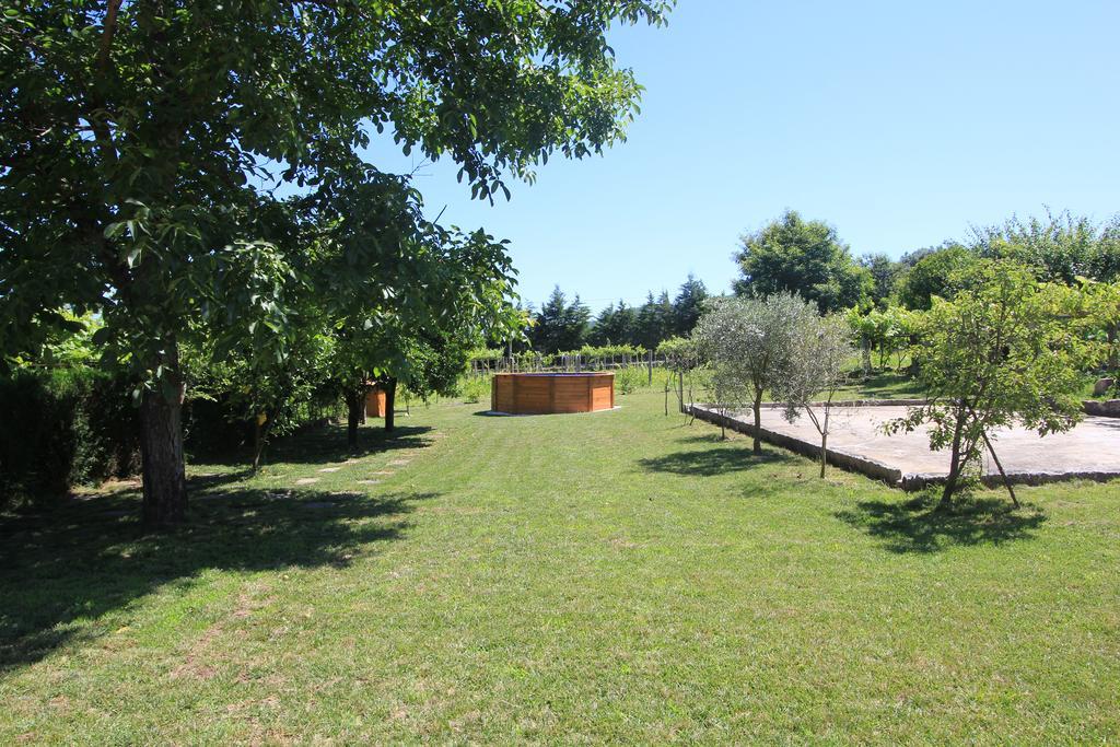 Quinta Miranda Villa Geraz do Lima Bagian luar foto